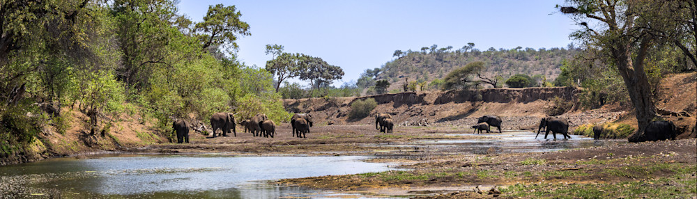 Breath Of Wilderness In Gentle Light Photography Art | Kevin Morris Photography USA