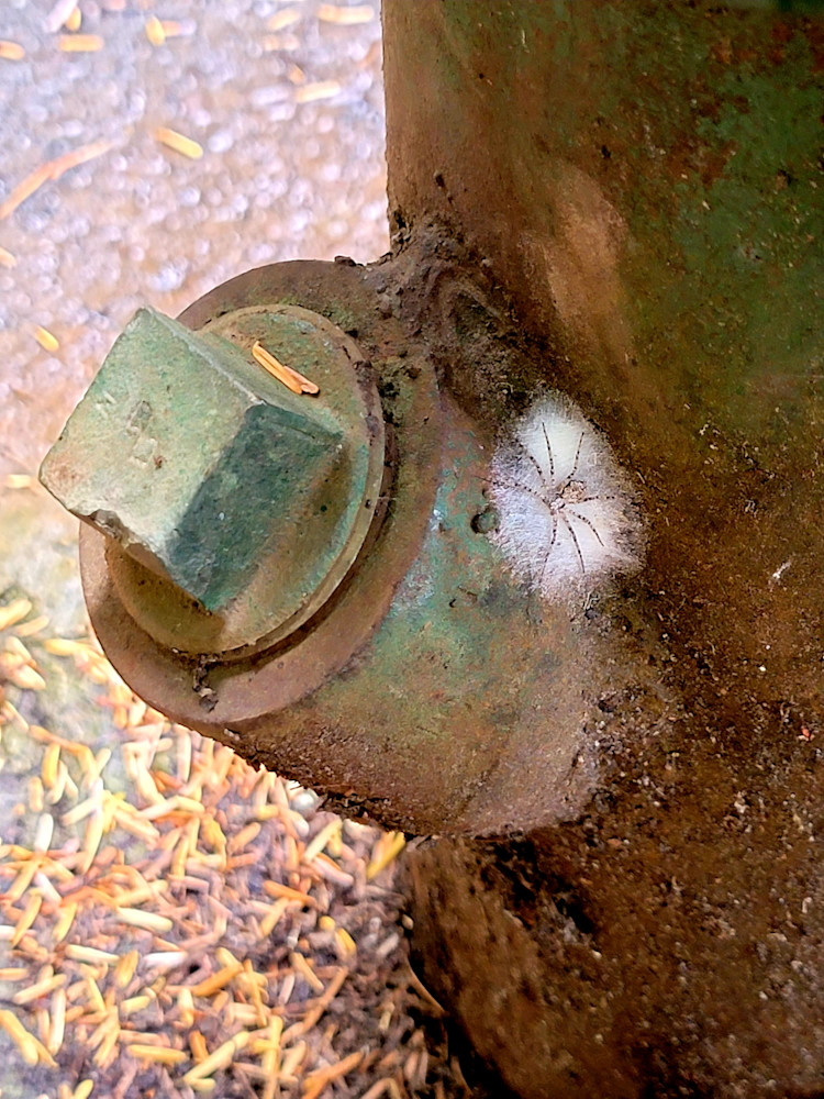 Industrial Spider Photography Art | InYourBackyard