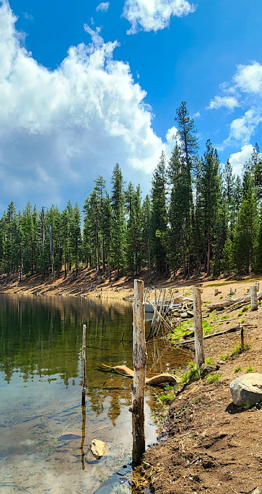 Deschutes River Bank Scenery Photography Art | InYourBackyard