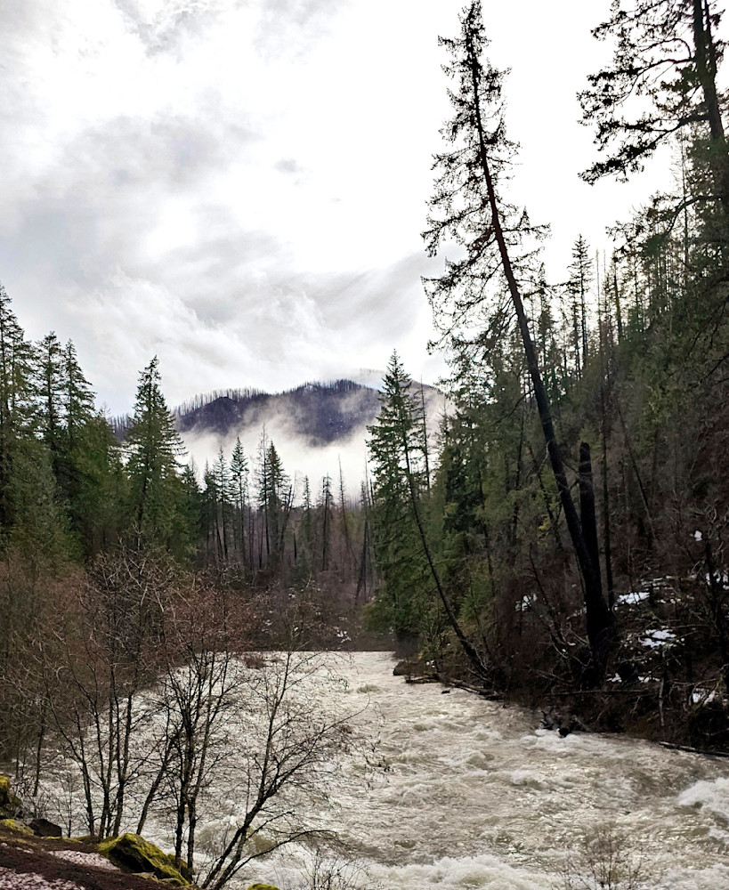 North Santiam River Photography Art | InYourBackyard