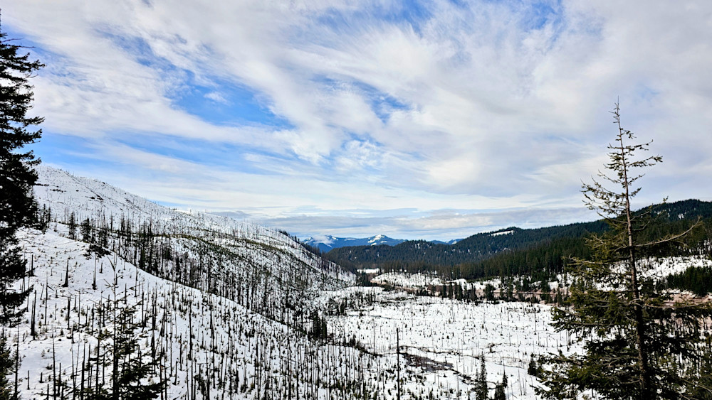 Santiam Pass Looking West Photography Art | InYourBackyard