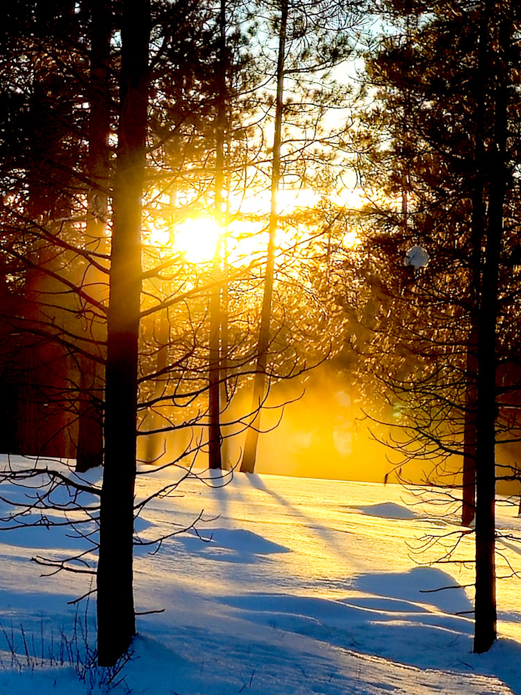 Sunset Through Forest On Snowy Day Photography Art | InYourBackyard