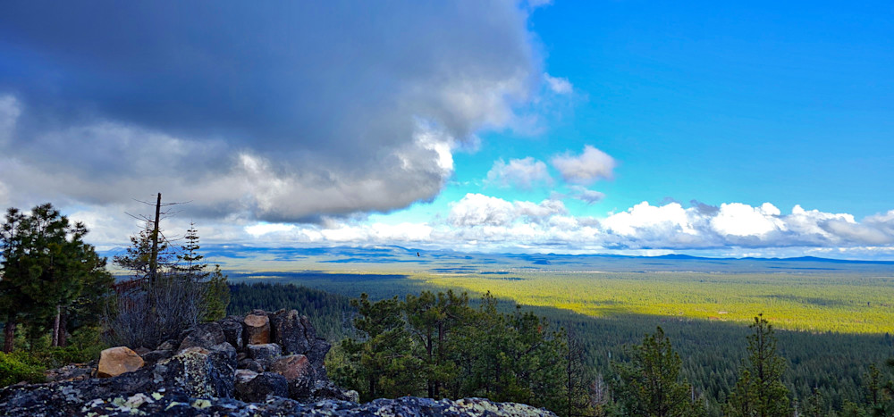 Deschutes National Forest Landscape From Pringle Butte Photography Art | InYourBackyard