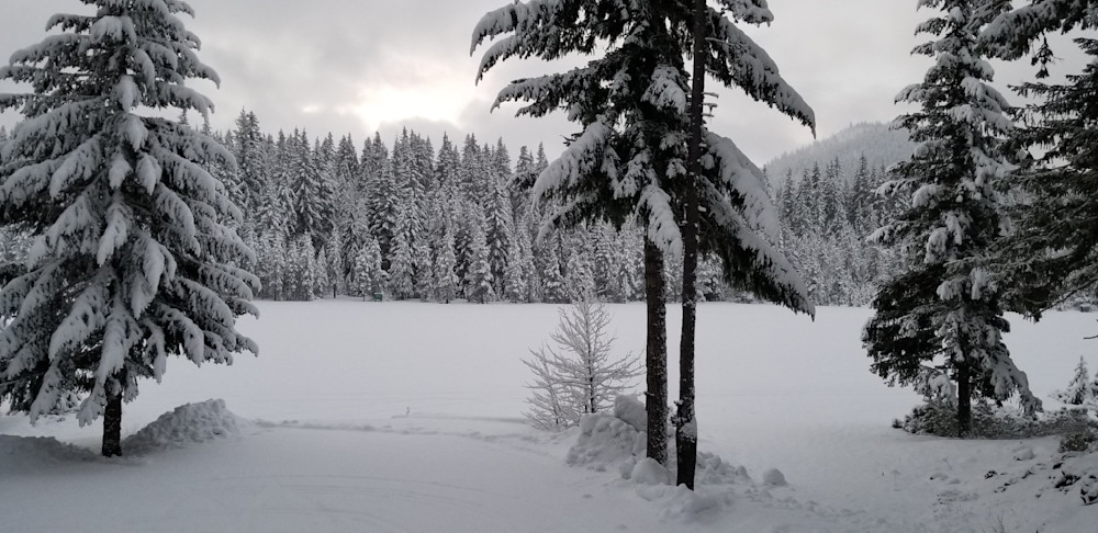 Deschutes National Forest Snow Day Photography Art | InYourBackyard