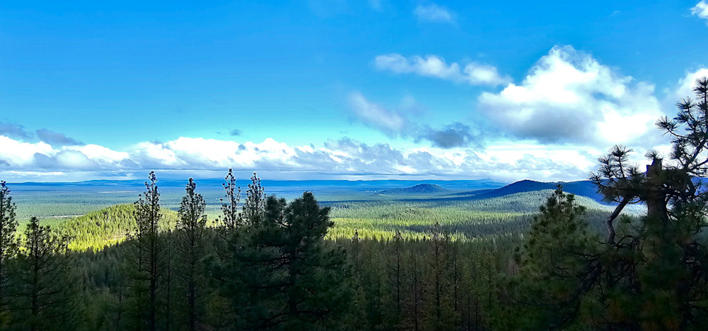 Landscape Of Deschutes National Forest From Pringle Butte Photography Art | InYourBackyard