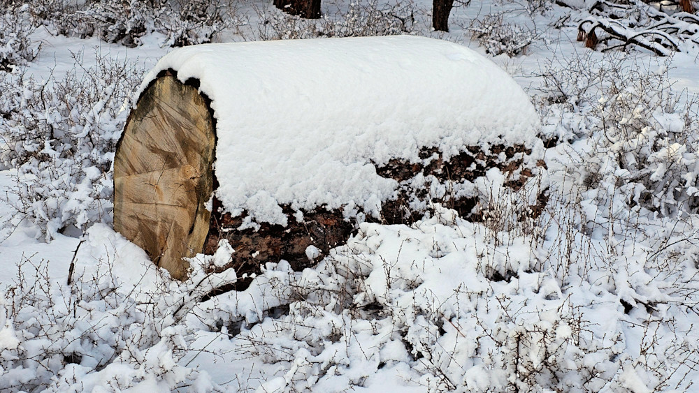 Lone Log Covered In Snow   Deschutes National Forest Photography Art | InYourBackyard