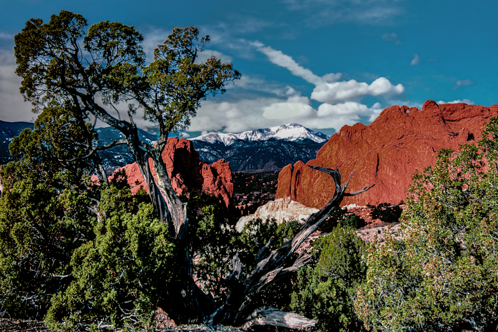 Colorado Gog Rattlesnake Velvia50 Jhe00016 Photography Art | James H Egbert's Silver Branch Studios