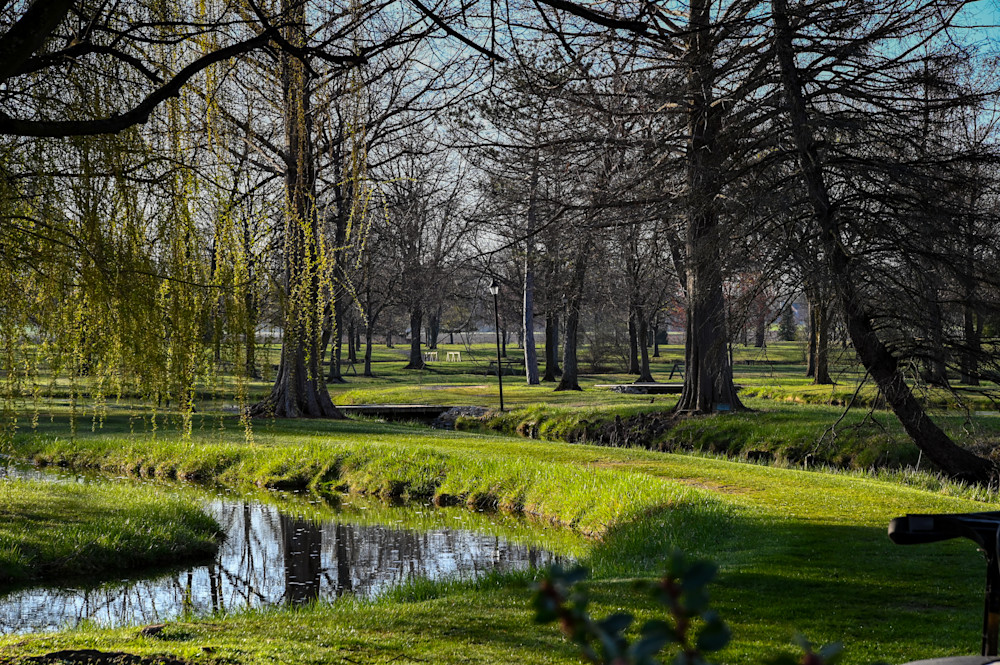 Spring Green Photography Art | Steve Rizzi Photography