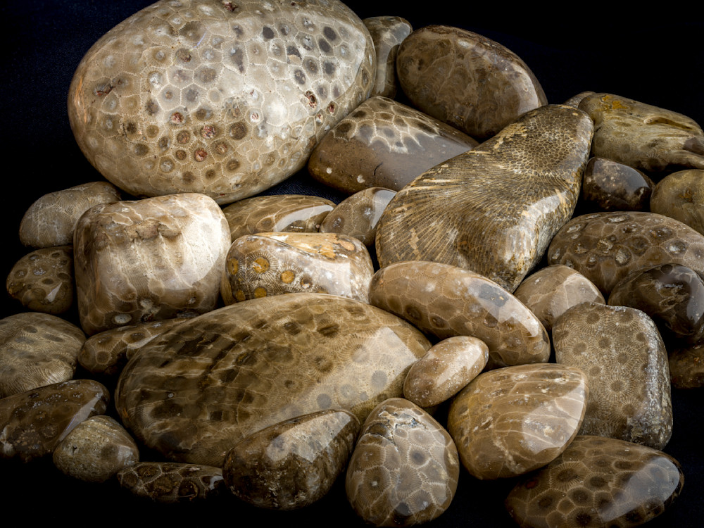 Handcrafted Petosky Stones - Unique Fossilized Collection
