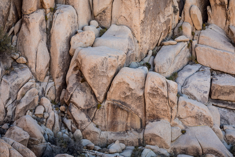 The Dove and Charlie Chaplin