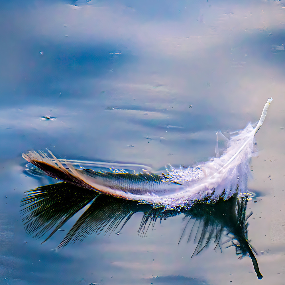 Feather floating on water surface with gentle ripples and a serene background