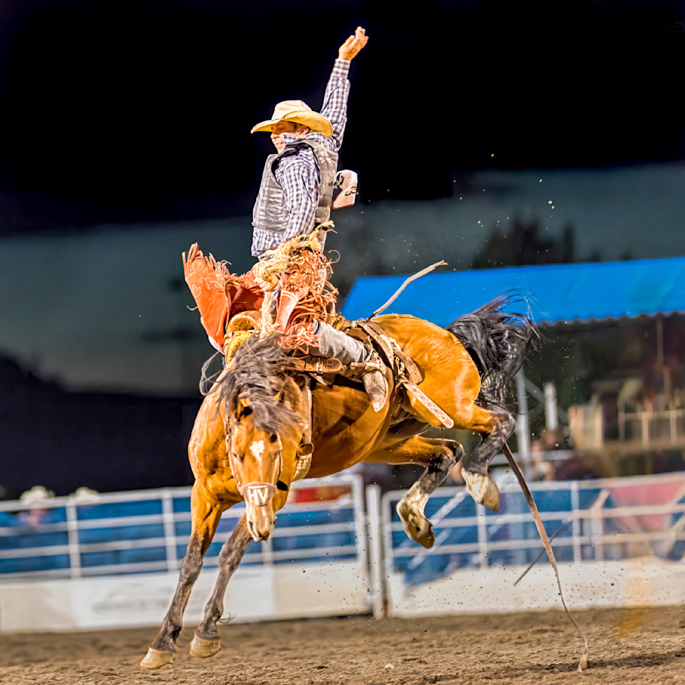 Rider on bucking horse at rodeo event energizing crowd with high energy performance