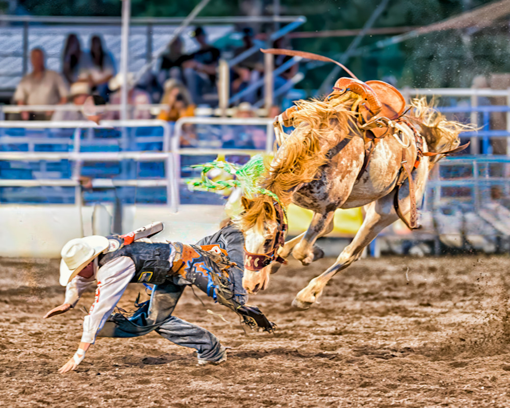 Rider falls from bucking horse during rodeo event with spectators in the background capturing the excitement in action