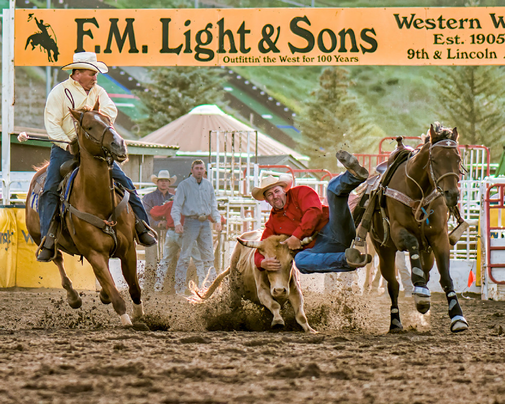 Cowboy competes in calf roping event at Western rodeo in Colorado