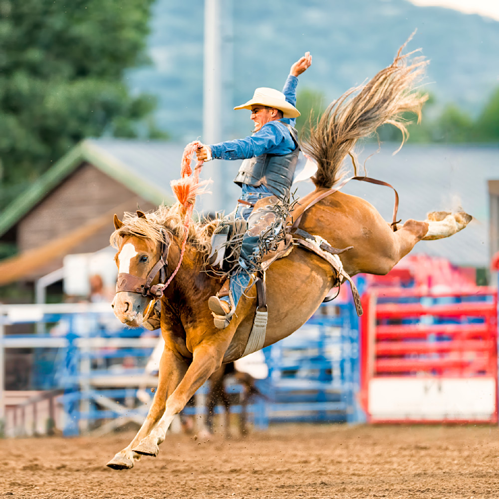 Cowboy performing on a bucking horse during a rodeo event in an outdoor arena setting