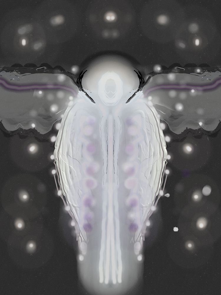 John’s Vision Art | Cumulus-Art