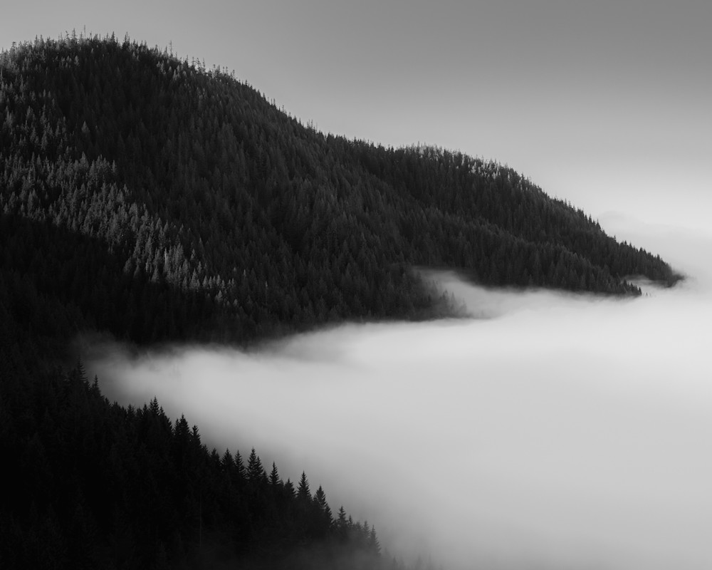At the Edge of Stillness, Olympic Peninsula, Washington, 2025