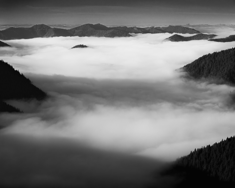 A Sea Between Ridges, Olympic Peninsula, Washington, 2025