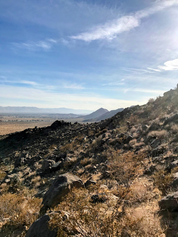 Mojave Desert Landscape Photography Art | InYourBackyard