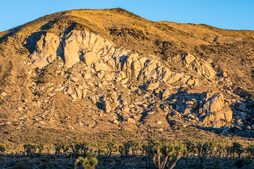 Ryan Mountain, Joshua Tree
