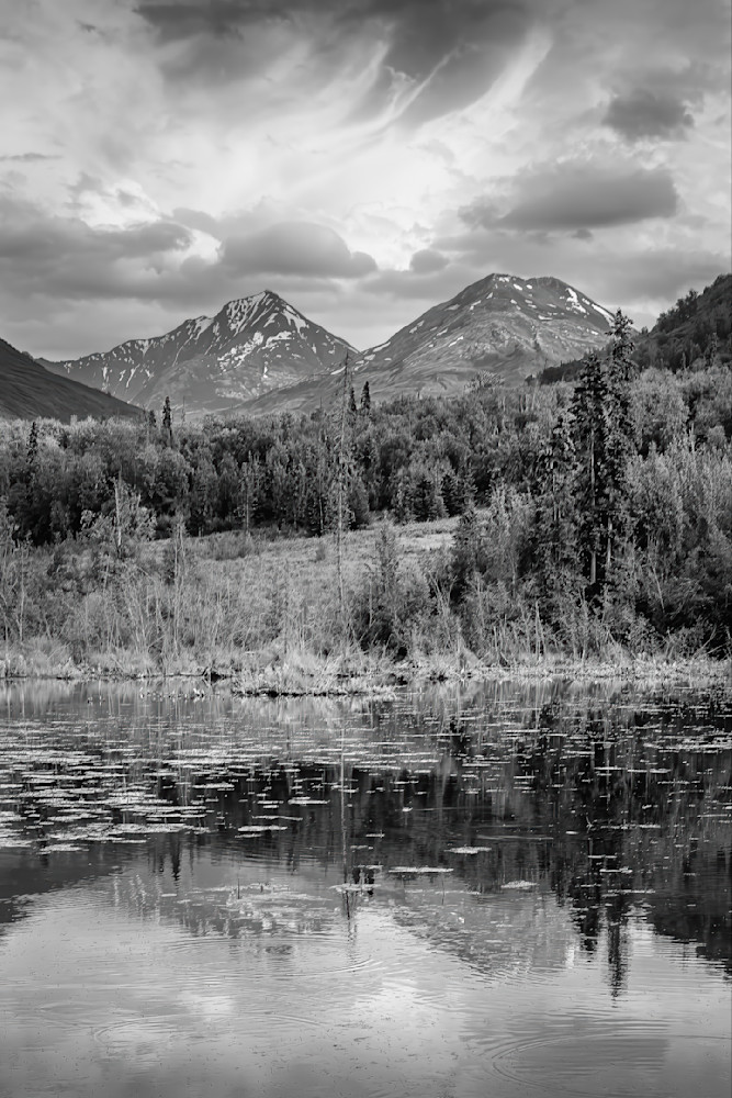 Reflections of Serenity