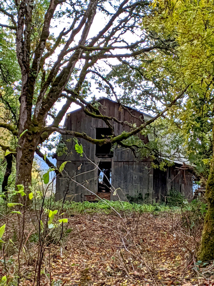 Dickie Prarie Barn Photography Art | InYourBackyard