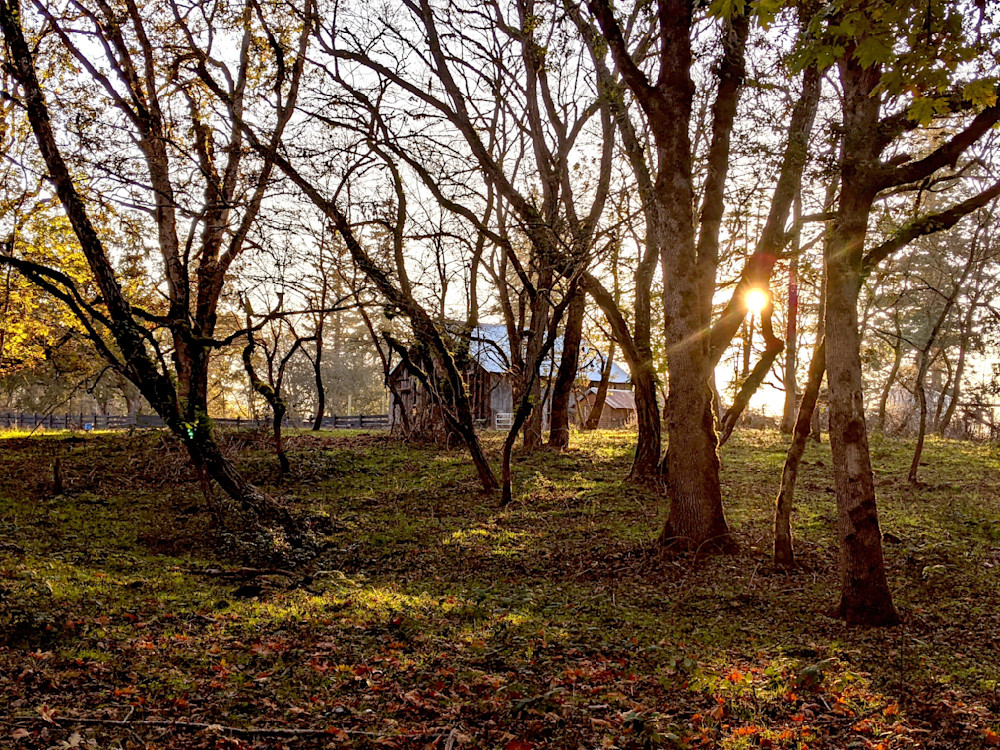 Dickie Prarie Barn In Molalla Photography Art | InYourBackyard
