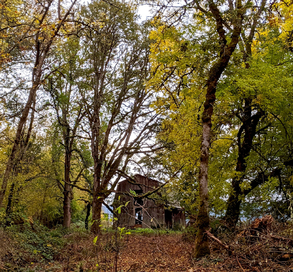 Dicky Prarie Barn Homestead Photography Art | InYourBackyard