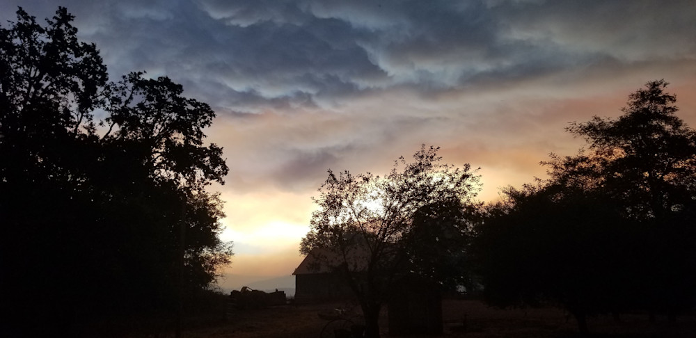 Night Sky Barn Sillouette Photography Art | InYourBackyard