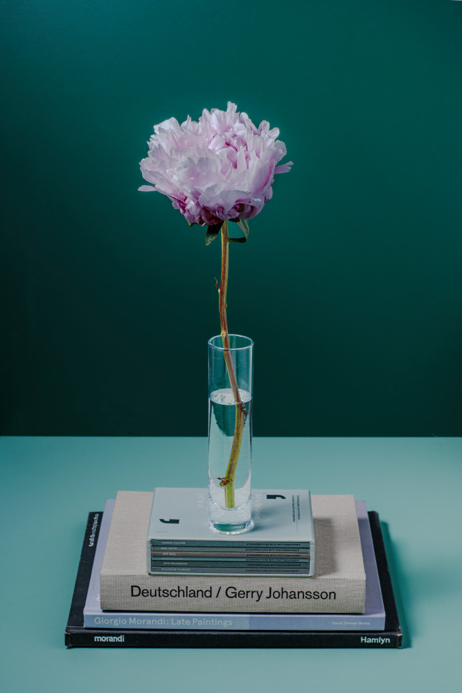 Peony Photography Art | Lester Blair Gallery