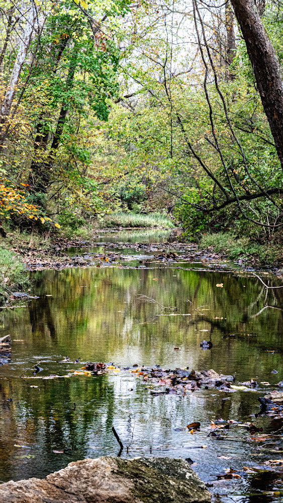 Serene stillwater passage through a forest landscape with vibrant autumn foliage and calm reflections