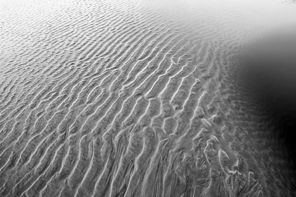 Ebb Patterns Art | Tim McGuire Fine Art