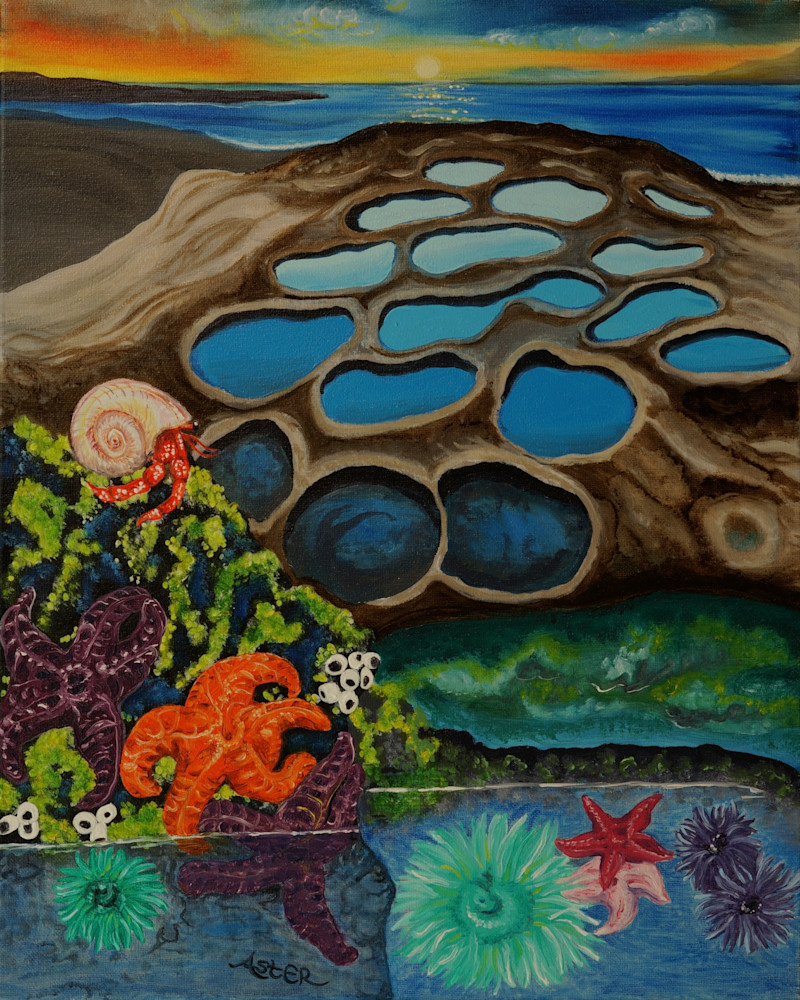 Best Of Tide Pools Non Topaz Art | Aster's Art