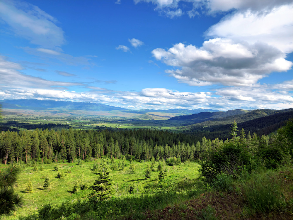 Valley View Wallowa Whitman National F Orest Photography Art | InYourBackyard