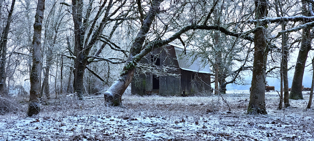 Barn In The Snow Amongst The Oaks Photography Art | InYourBackyard