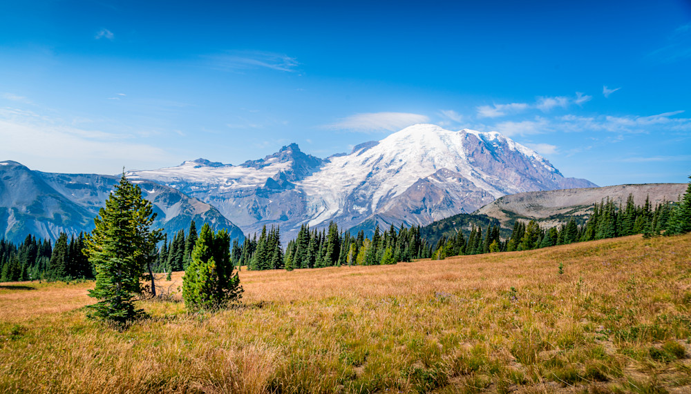 Mount Rainier from the Frozen Lake Trail