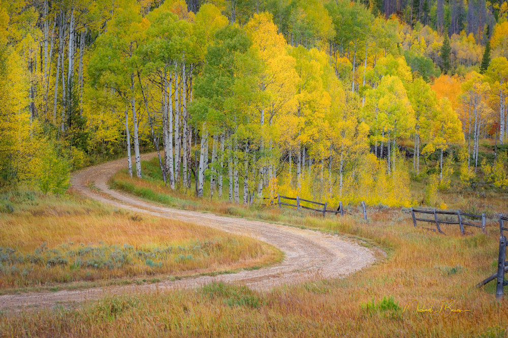 Michael J Bauer Photography | Colorado Dirt Road into Aspens