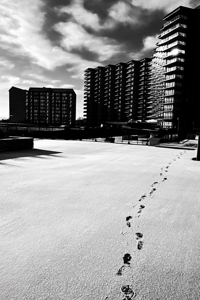 Path To Edgewater Photography Art | Steve Rizzi Photography