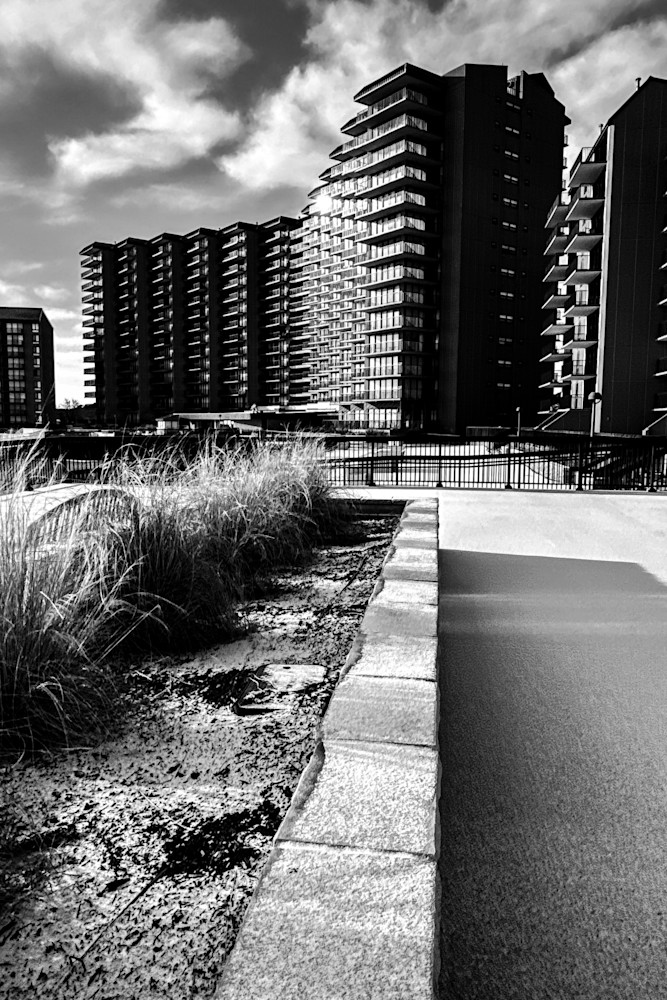 Edgewater Stands Photography Art | Steve Rizzi Photography