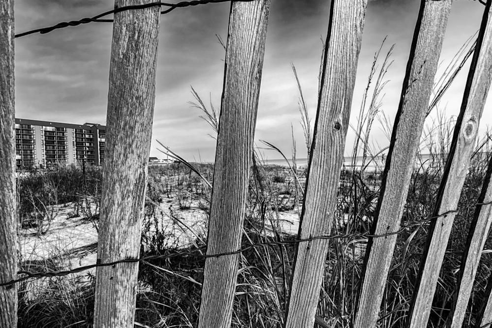 Snow Fence Photography Art | Steve Rizzi Photography
