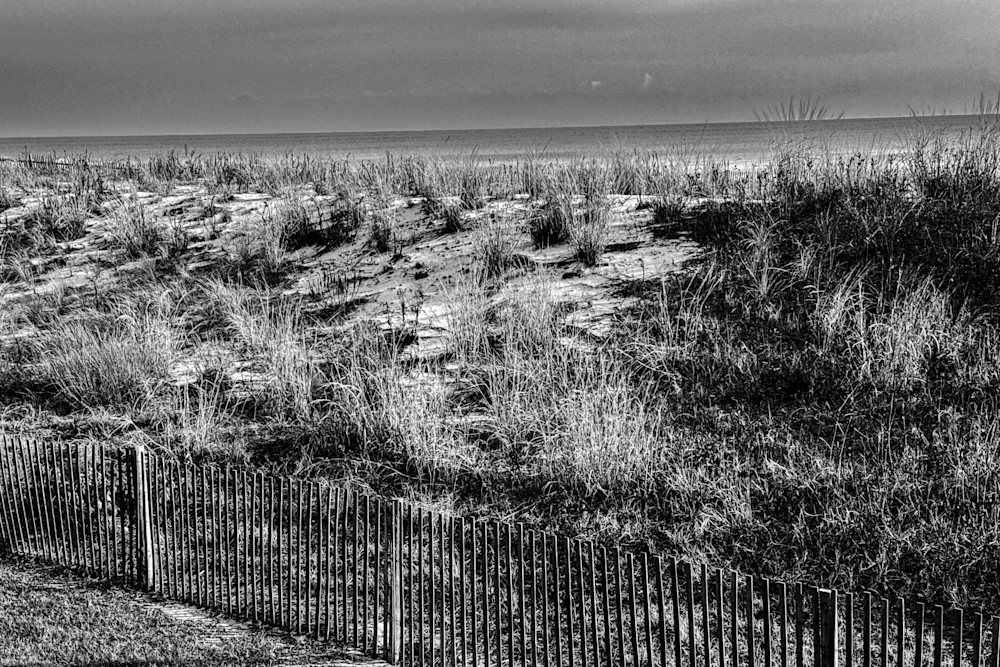 Snow On The Dune Photography Art | Steve Rizzi Photography