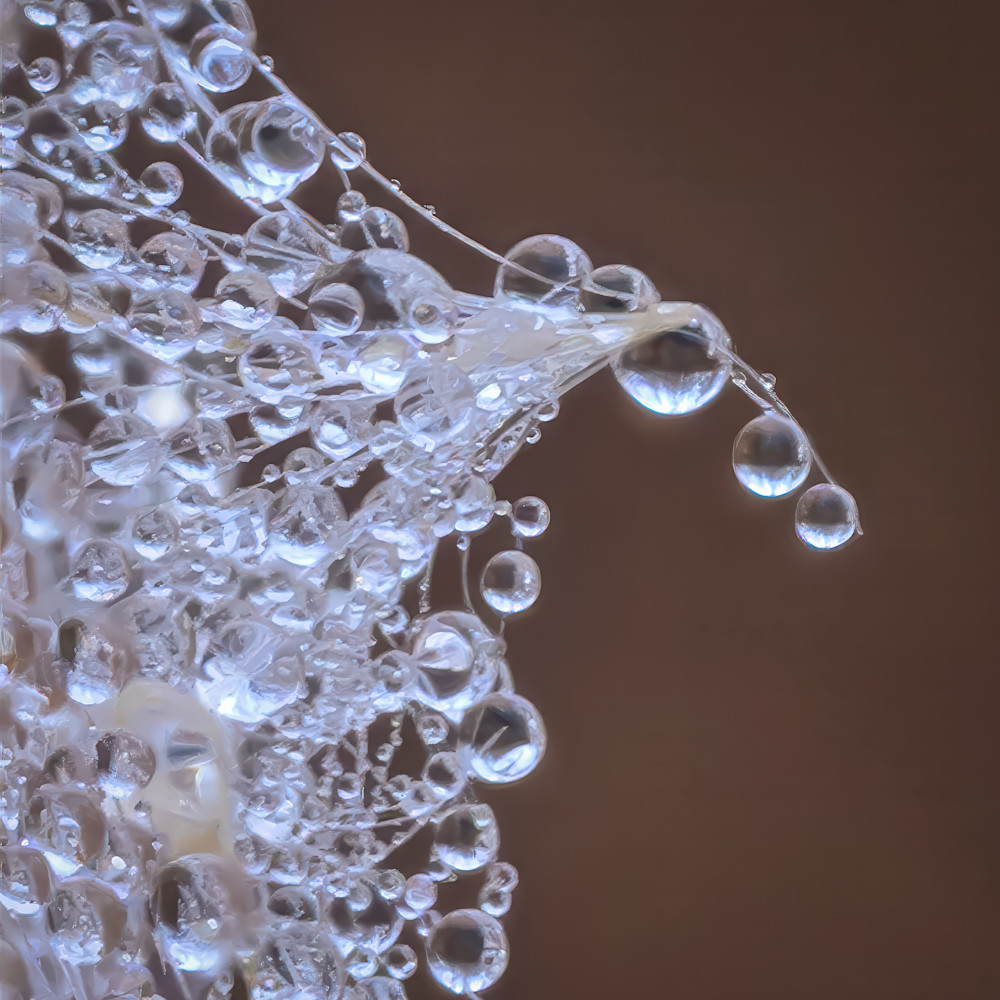 Close up of water droplets gathered on a surface in a simple setting during early morning hours