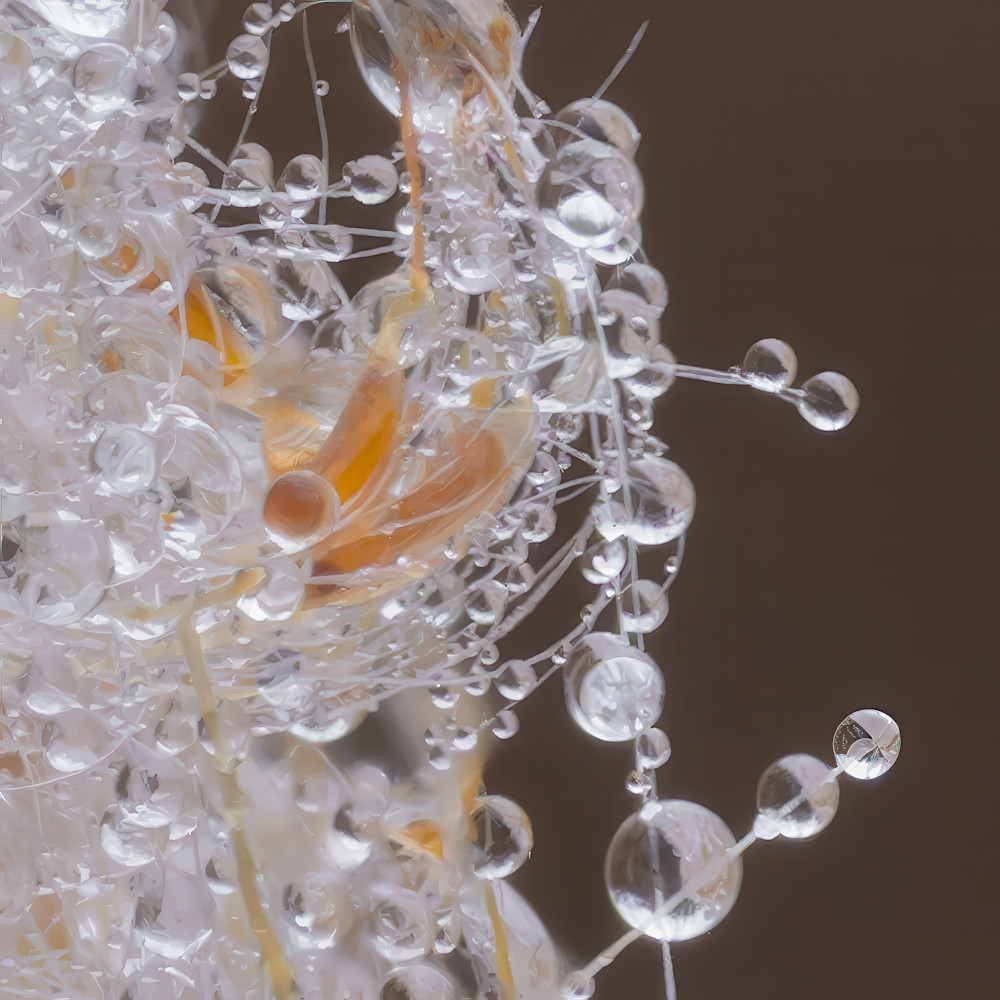 Magnified view of tiny water droplets on a natural surface in a close-up setting during daytime