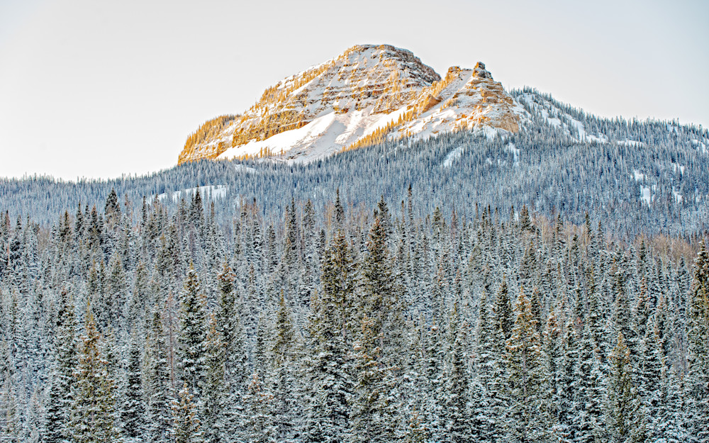 Mountain peak rises above tall evergreen trees in winter landscape during late afternoon light