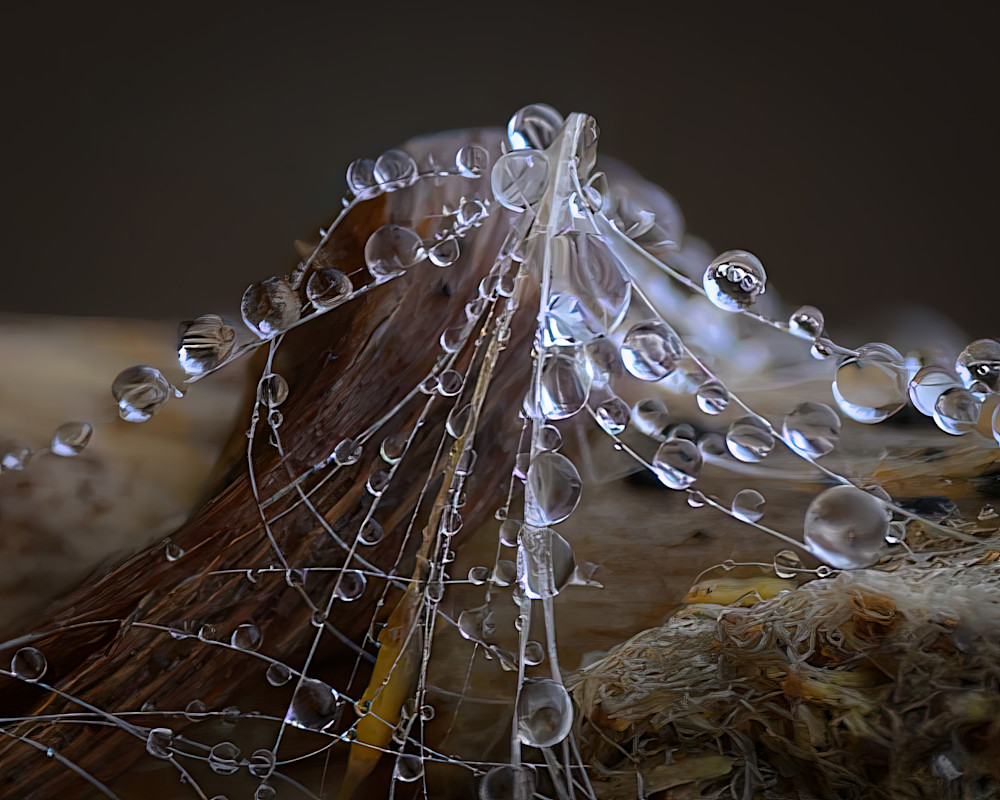 Water droplets form on thin strands in a close-up view with a blurred background, captured indoors on a wooden surface during daylight