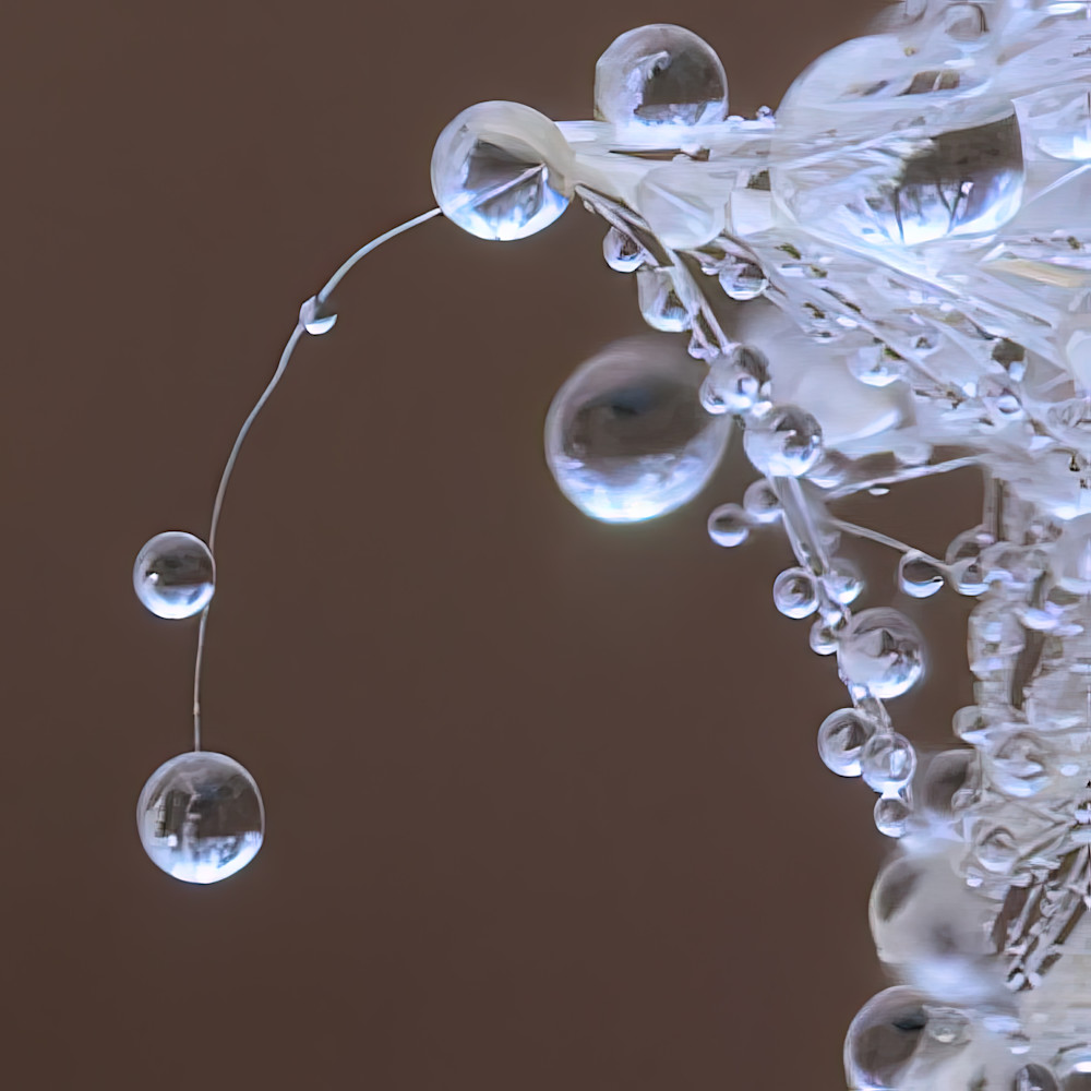 Close view of water droplets hanging from a web in a bright room on a sunny day