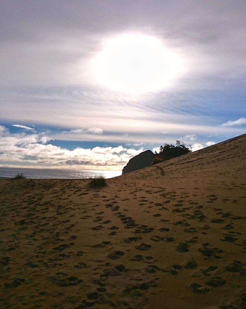 Ocean View   Pacific City Oregon Photography Art | InYourBackyard