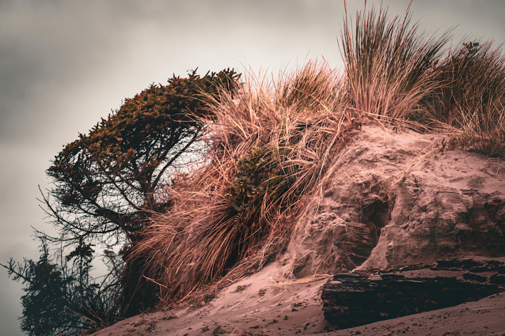 Tracing the Shore – Textured Coastal Landscape Photography by Janie Lynn

