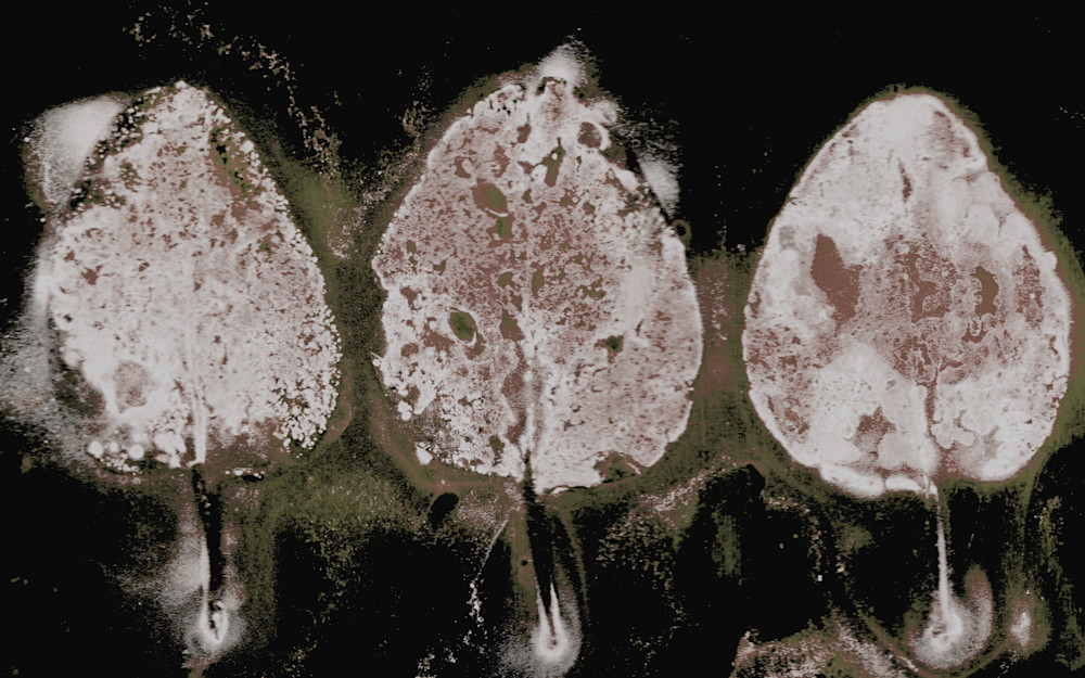 Aspen Trio Final Art | Debbie Alley