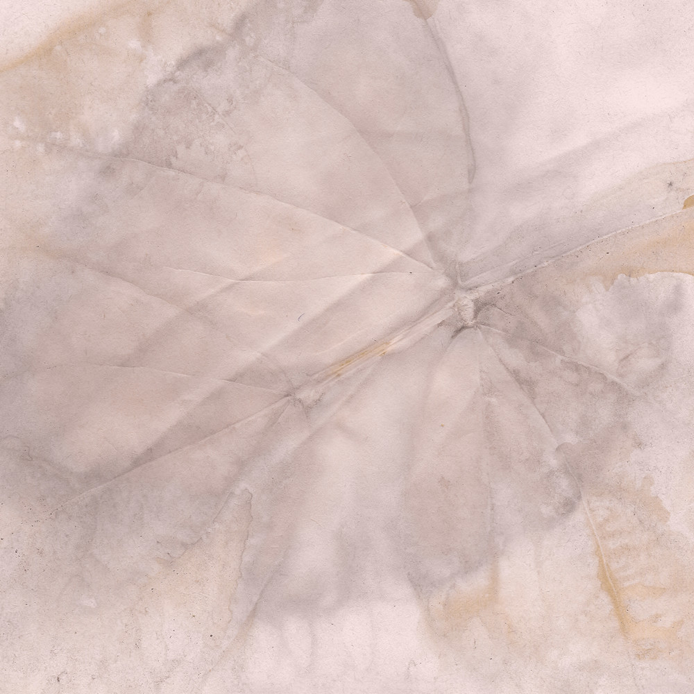 Impressions Final Art | Debbie Alley